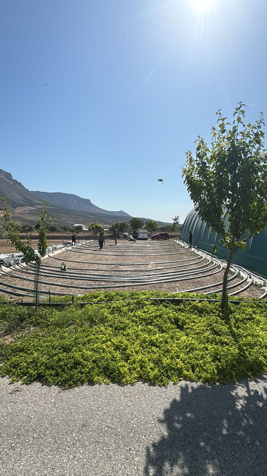 Tensostruttura Agricola a Almería · Preparazione del terreno