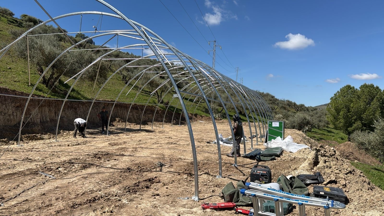 Tensostruttura Agricola a Los Corrales