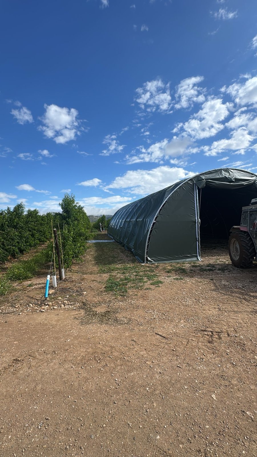Tensostruttura Agricola a Mora d'Ebre